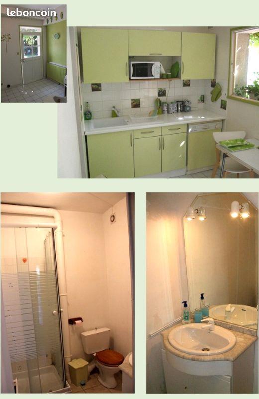 Appartement à louer, 42m², Tours