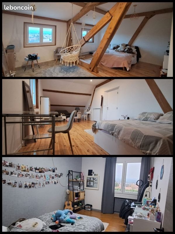 Maison à vendre, 300m², Sury-le-Comtal