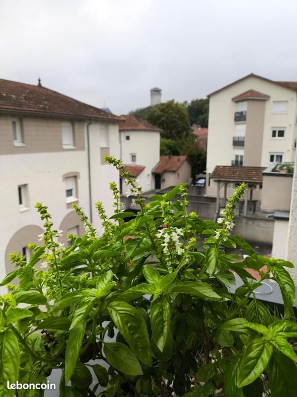 Appartement à louer, 71m², Le Pont-de-Claix