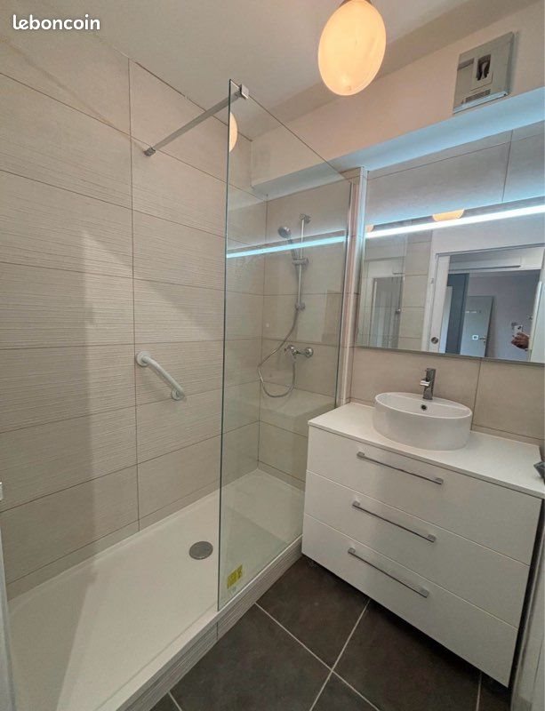 Appartement à louer, 39m², Lyon 7ème