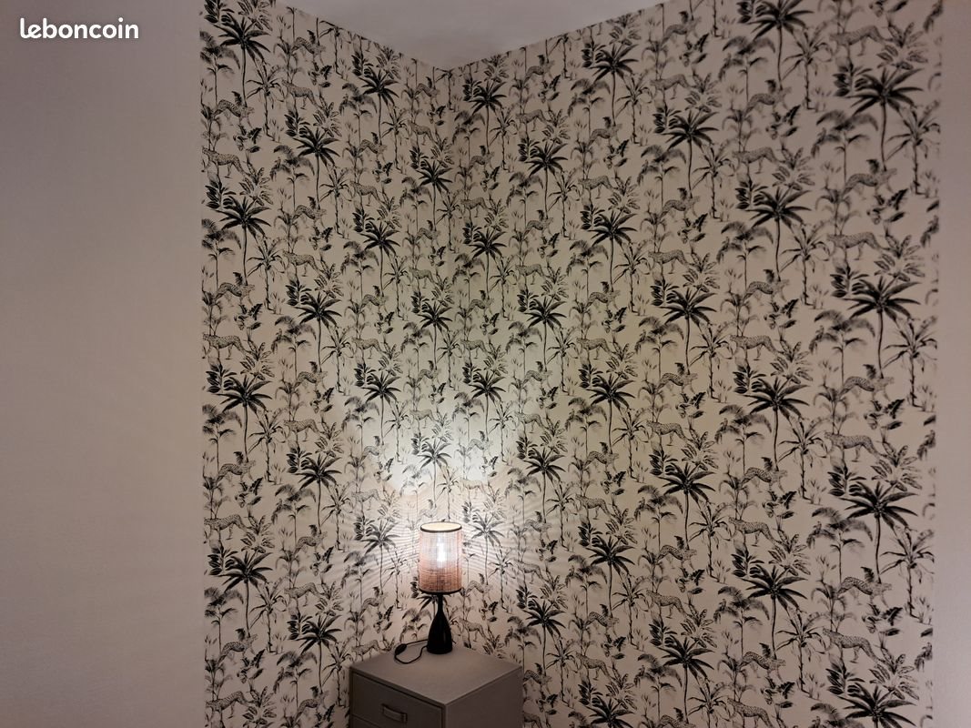 Appartement à louer, 28m², Brest