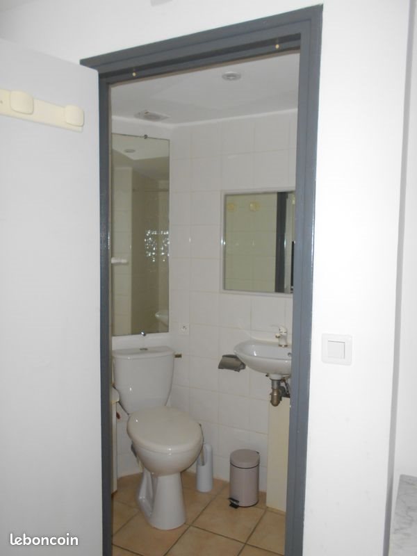 Appartement à louer, 18m², Olonzac