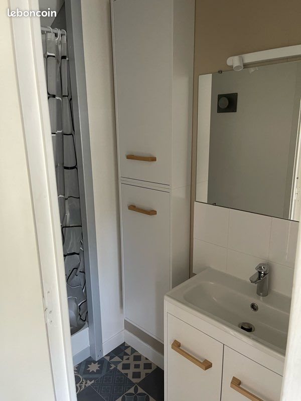 Appartement à louer, 20m², Angers