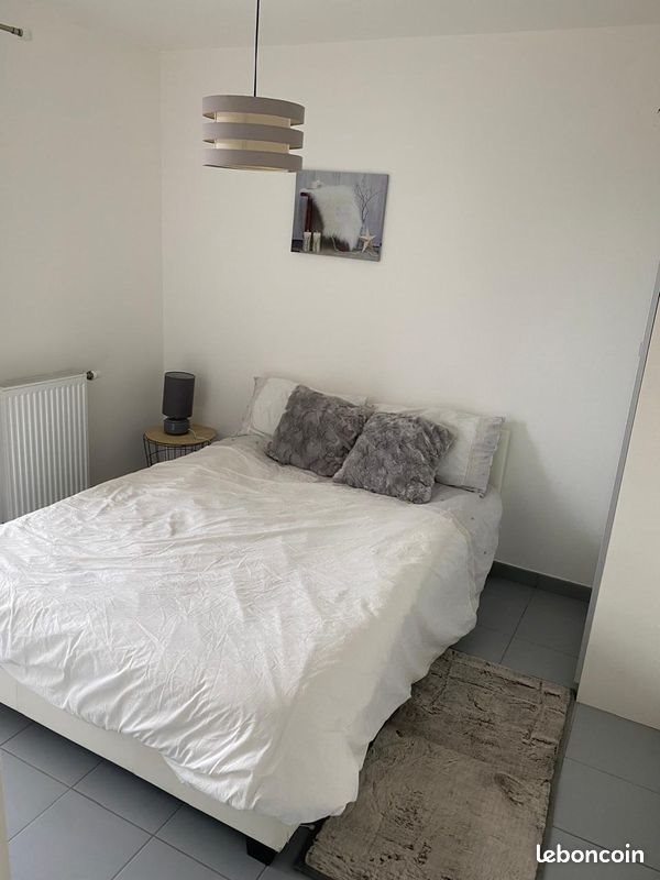 Appartement à louer, 55m², Tigery