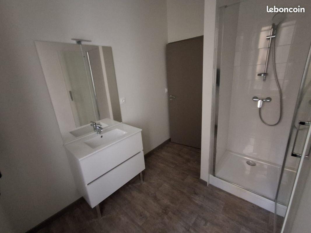 Appartement à louer, 53m², Saint-Etienne