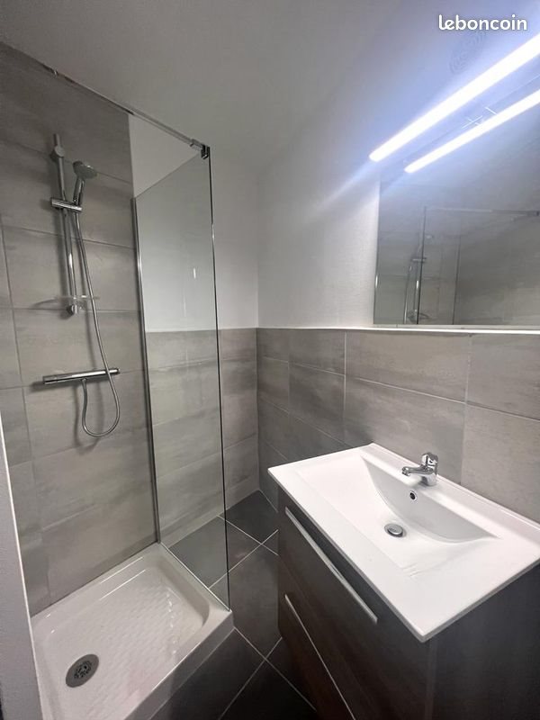 Appartement à vendre, 30m², Saint-Etienne