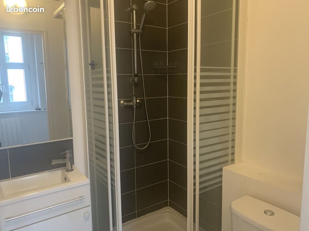 Appartement à louer, 19m², Lille