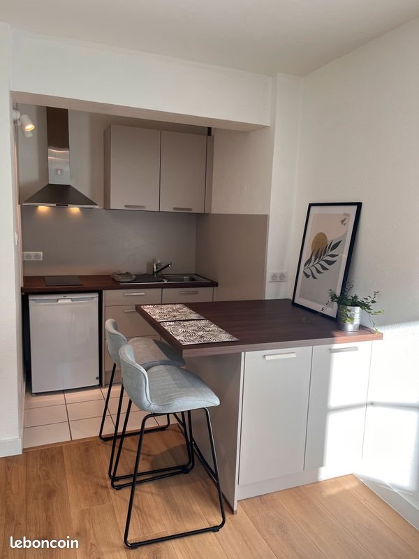 Appartement à louer, 24m², Strasbourg