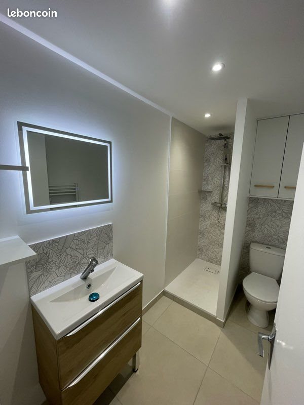 Appartement à louer, 42m², Roanne