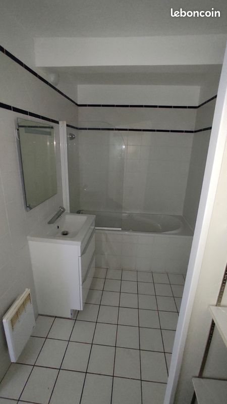 Appartement à louer, 42m², Tours