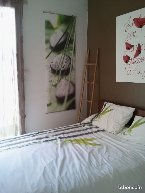 Appartement à louer, 40m², Saint-Etienne