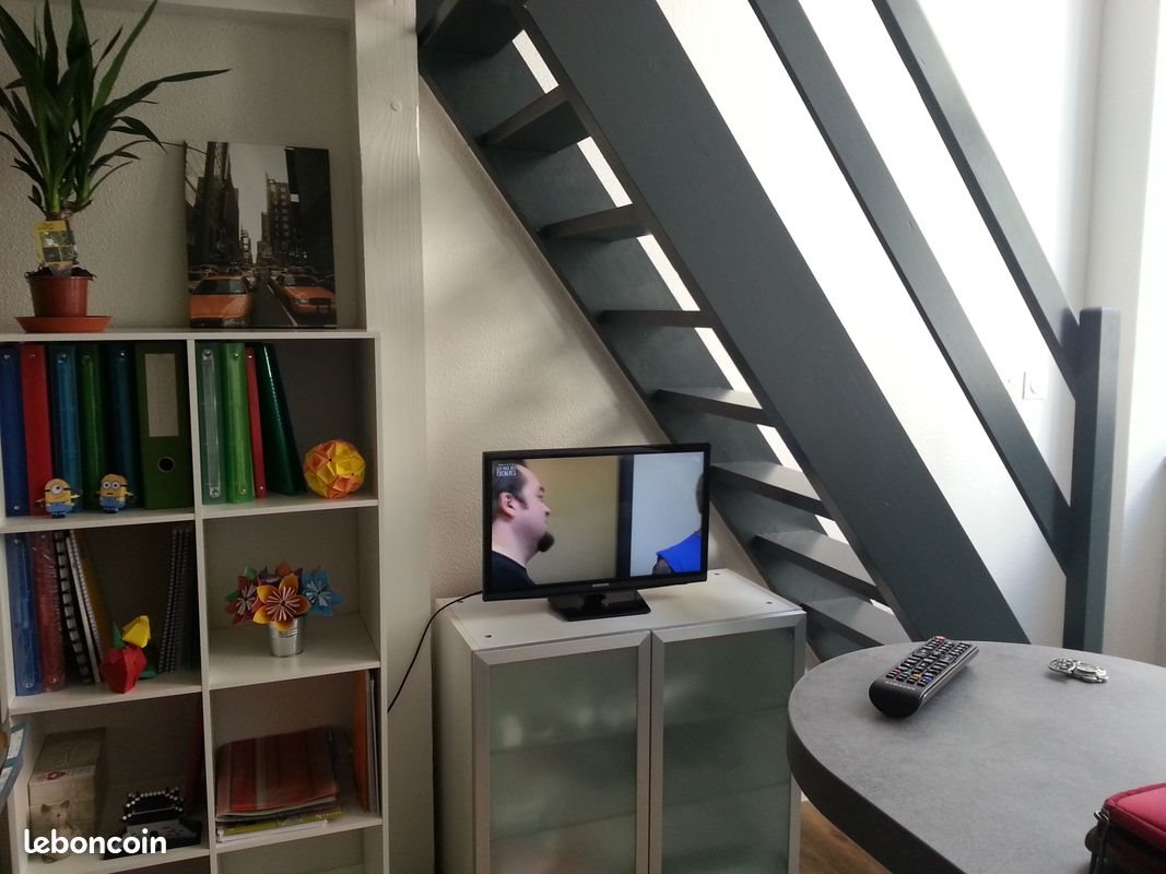 Appartement à louer, 21m², Saint-Etienne