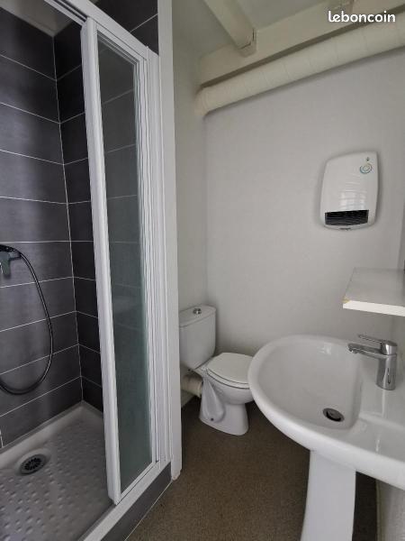 Appartement à louer, 15m², Saint-Etienne