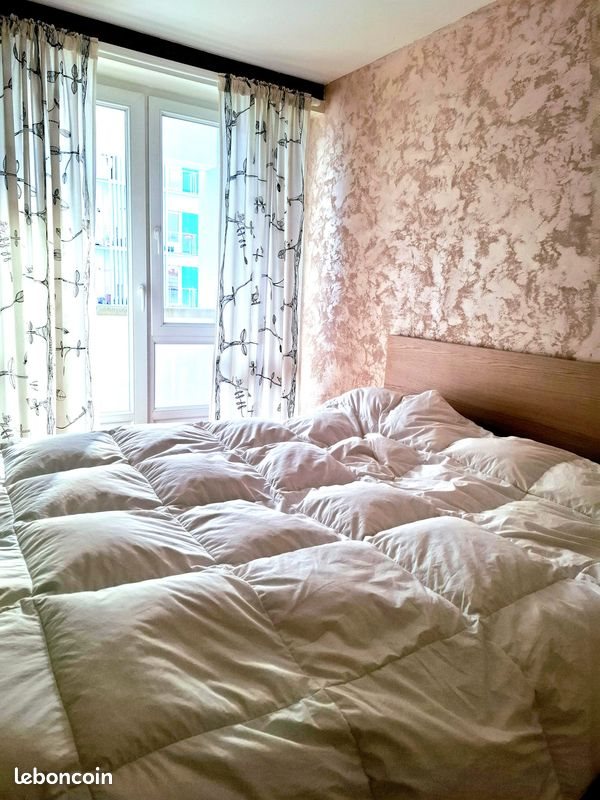 Appartement à louer, 50m², Strasbourg