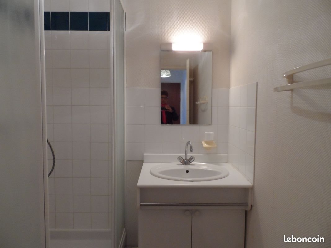 Appartement à louer, 25m², Angers
