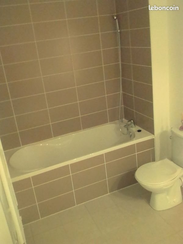 Appartement à louer, 50m², Lille