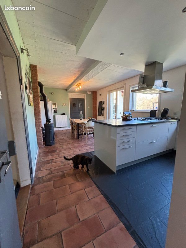 Maison à vendre, 130m², Drusenheim