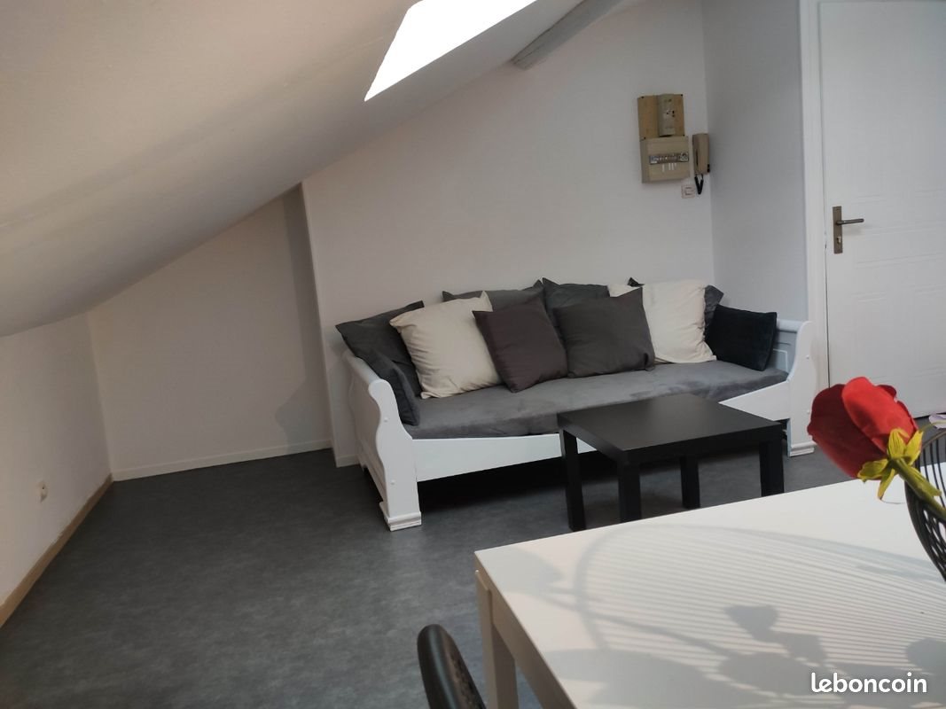 Appartement à louer, 38m², Nancy