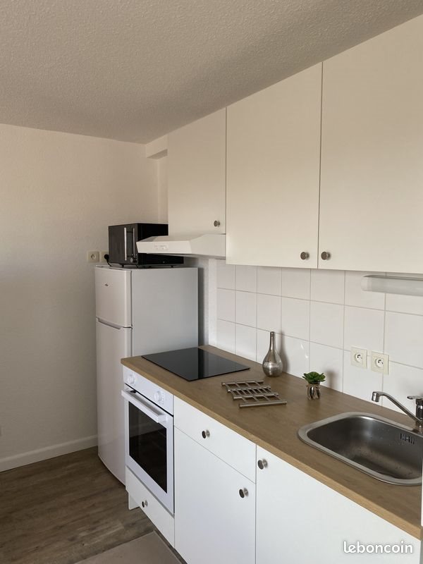 Appartement à louer, 44m², Le Mans