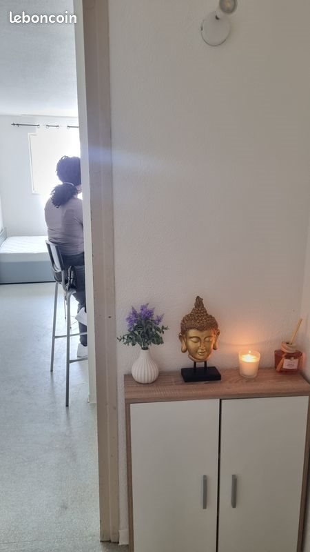 Appartement à louer, 19m², Strasbourg