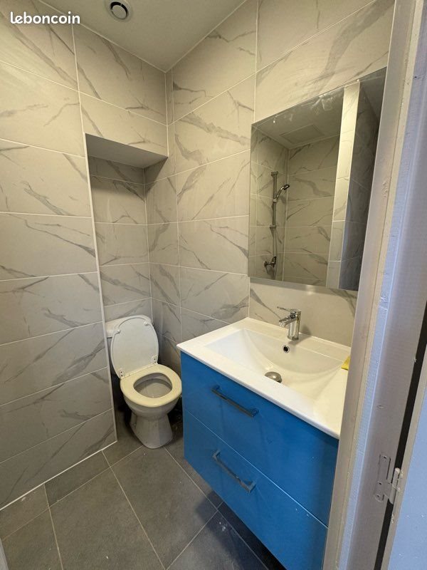 Appartement à louer, 26m², Lyon 4ème