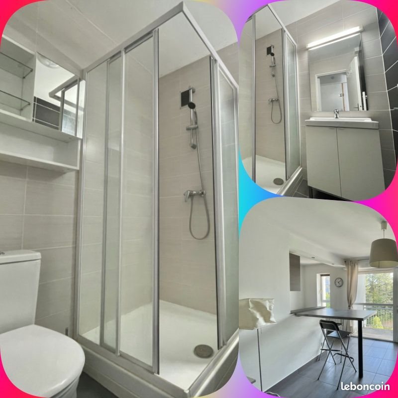 Appartement à louer, 27m², Saint-Etienne