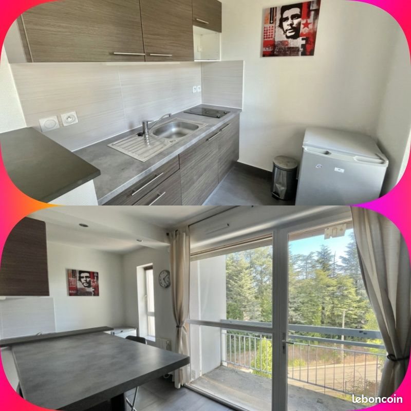 Appartement à louer, 27m², Saint-Etienne
