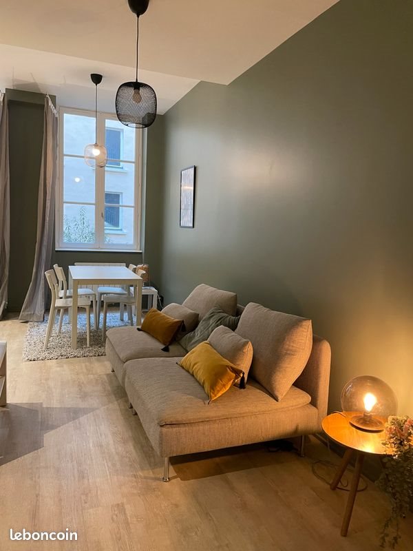 Appartement à louer, 34m², Lyon 1er