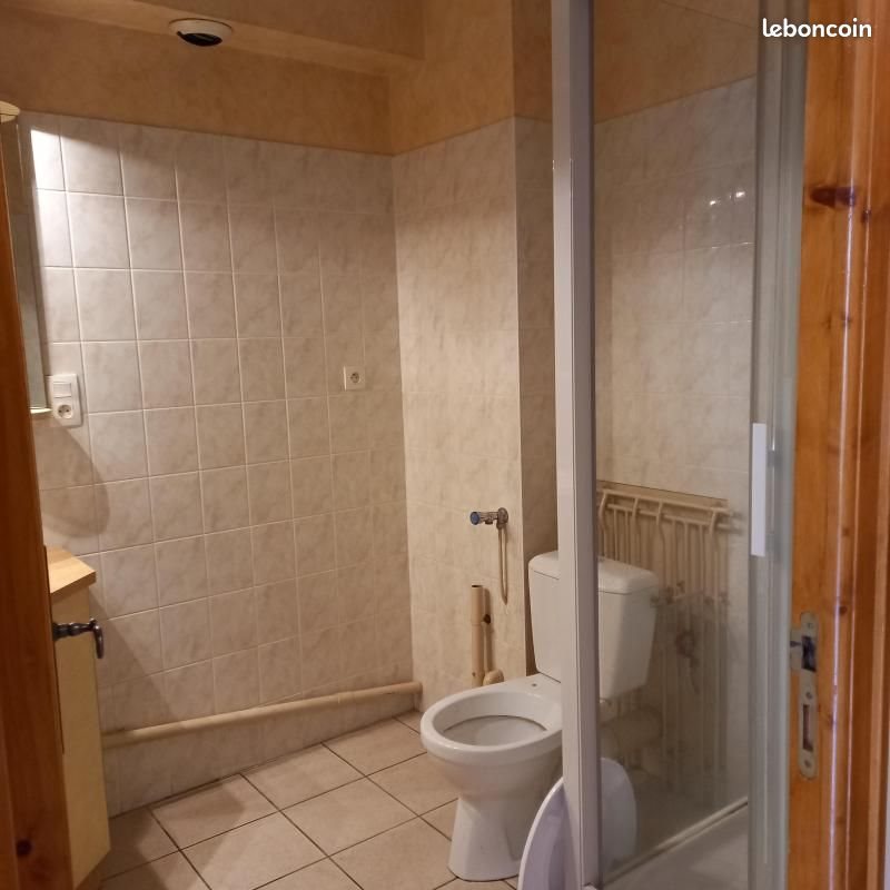 Appartement à louer, 34m², Coise
