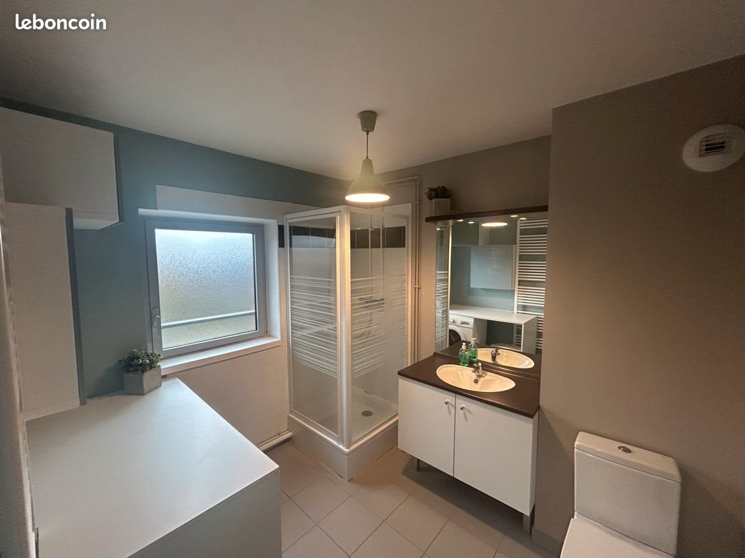 Appartement à louer, 49m², Lille