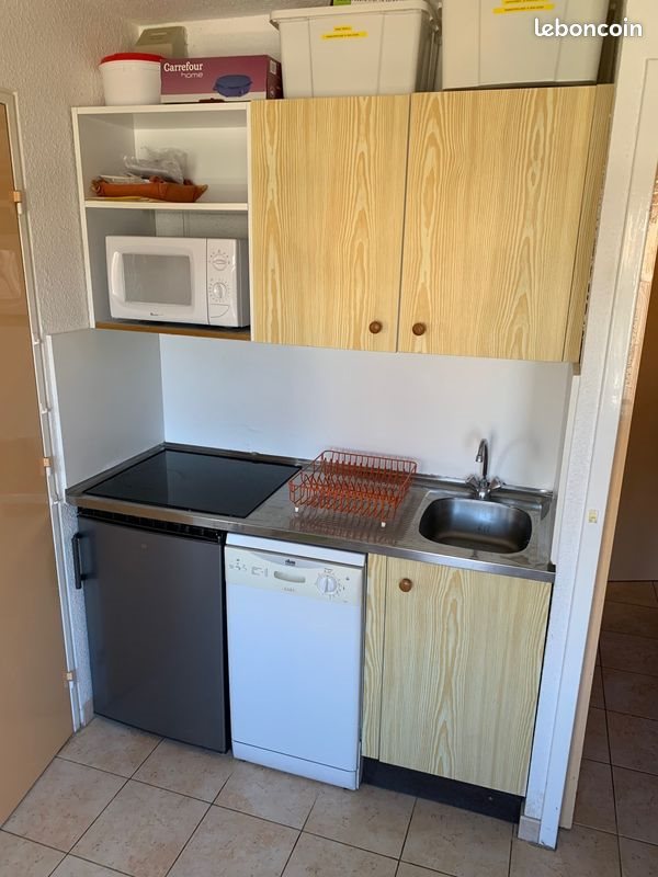 Appartement à louer, 25m², Puy-Saint-Vincent