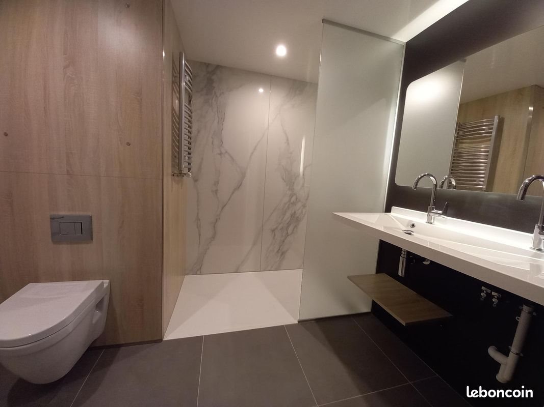 Appartement à louer, 50m², Saint-Etienne