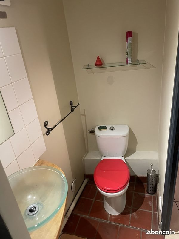 Appartement à louer, 19m², Limonest