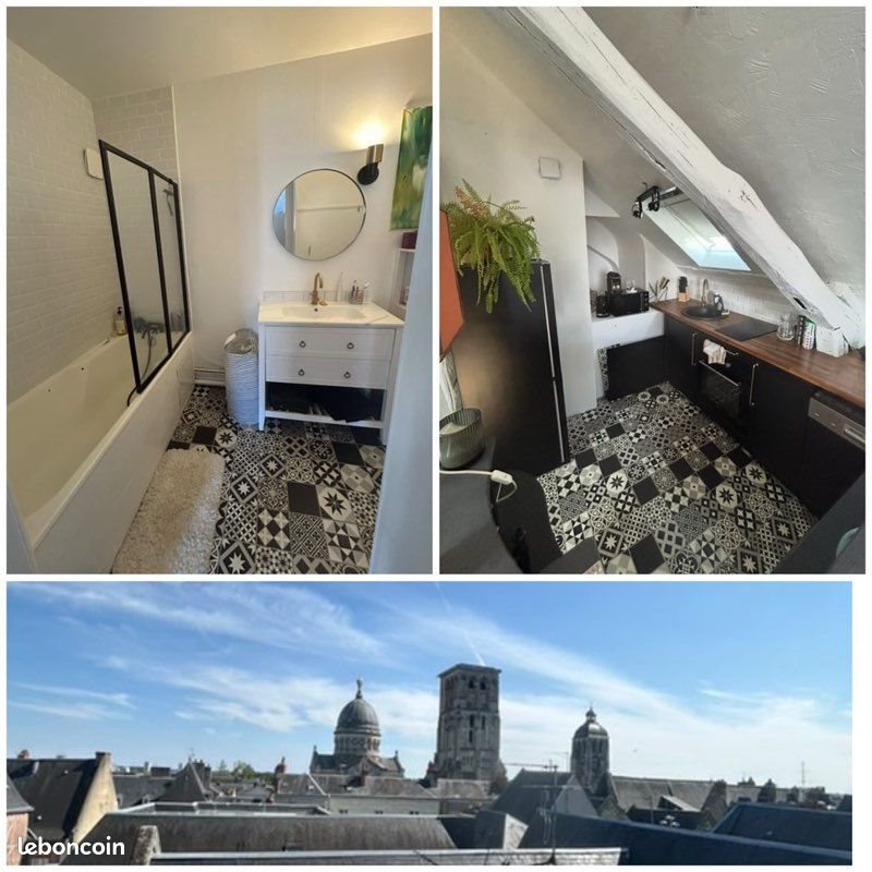 Appartement à louer, 60m², Tours