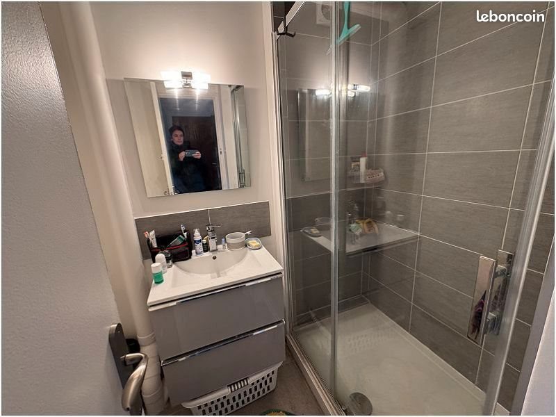 Appartement à louer, 42m², Lille