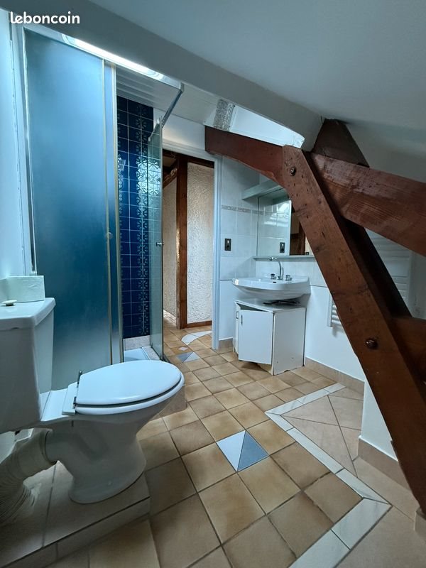 Appartement à louer, 50m², Laguiole