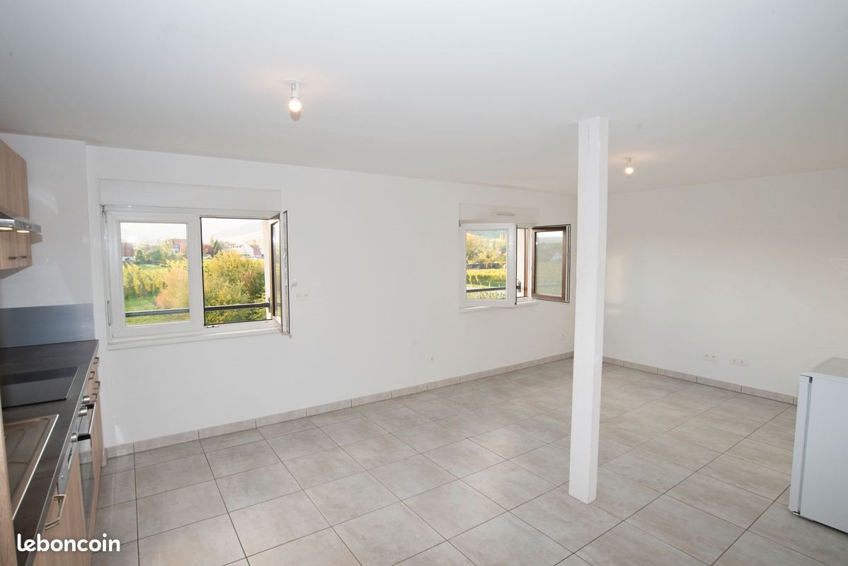 Appartement à louer, 44m², Gertwiller