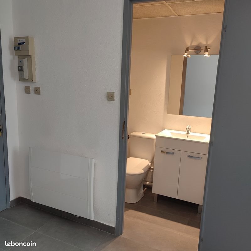 Appartement à louer, 15m², Illkirch-Graffenstaden