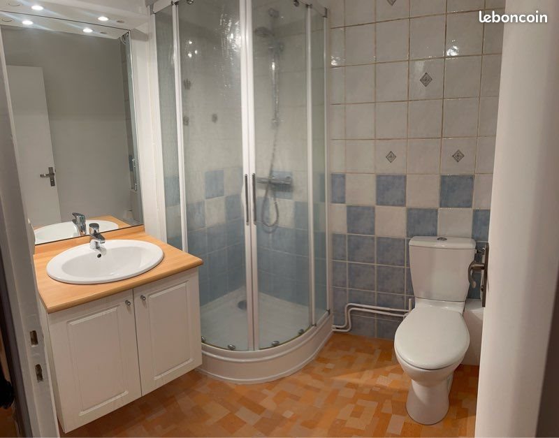 Appartement à louer, 40m², Saint-Etienne