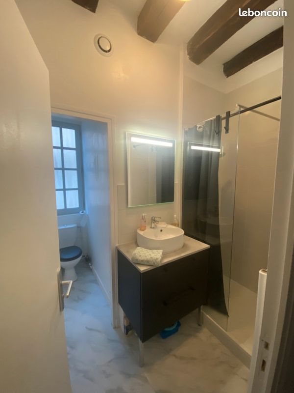 Appartement à louer, 44m², Tours