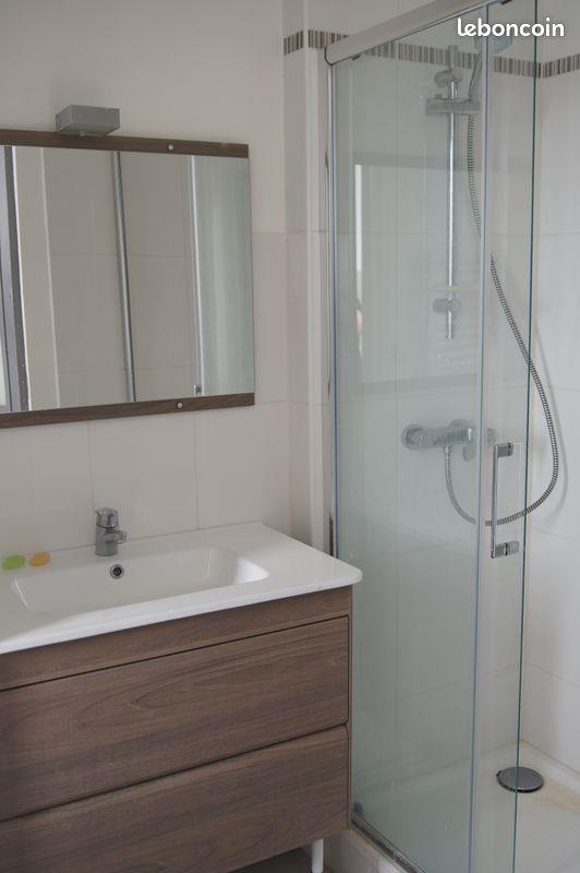 Appartement à louer, 46m², Saint-Etienne