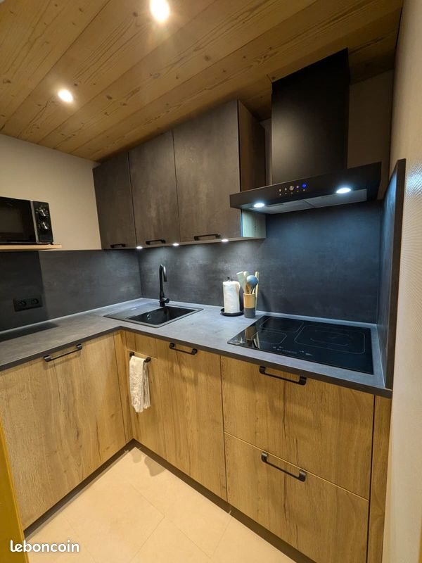 Appartement à louer, 31m², Gex
