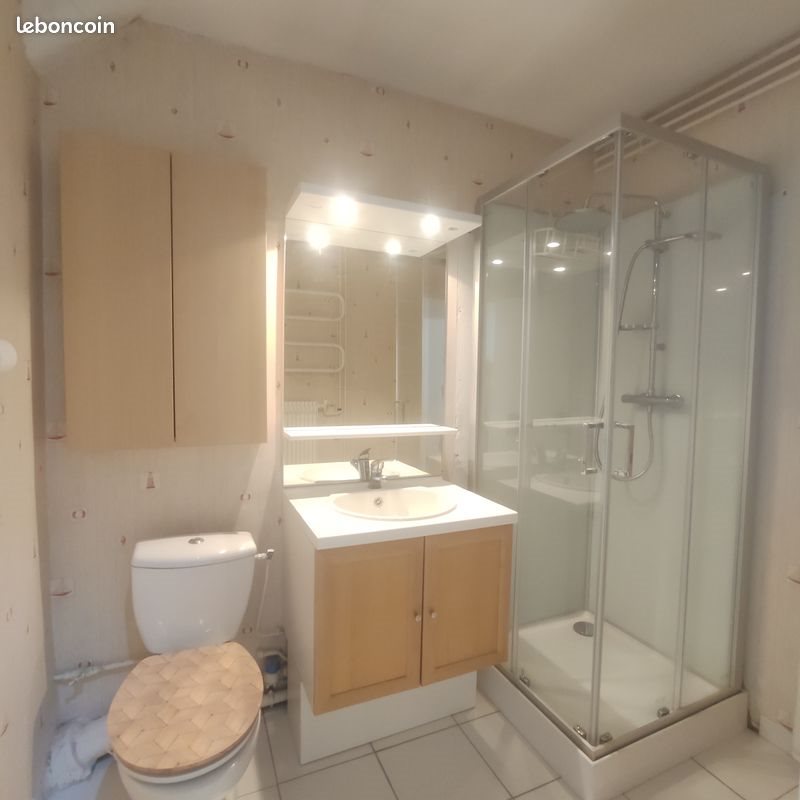 Appartement à louer, 50m², Clermont-Ferrand