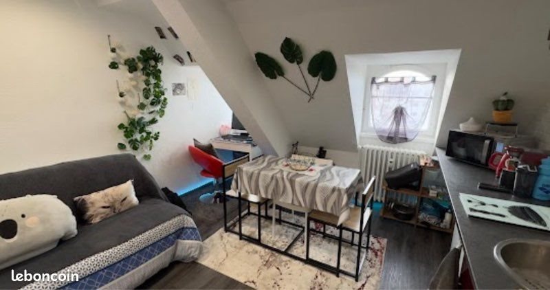 Appartement à louer, 15m², Strasbourg