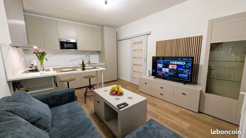 Appartement à louer, 39m², Nogent-sur-Marne