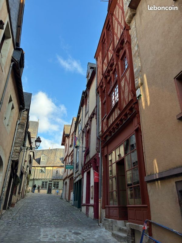 Appartement à louer, 45m², Le Mans