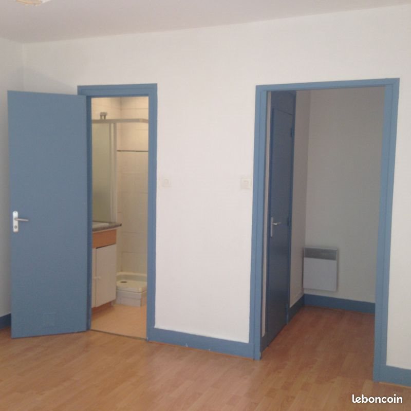 Appartement à louer, 25m², Saint-Etienne