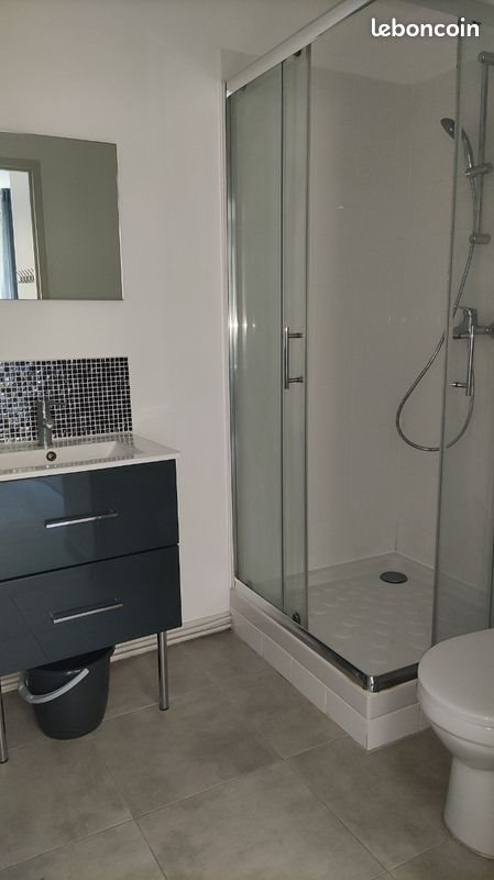 Appartement à louer, 21m², Saint-Etienne