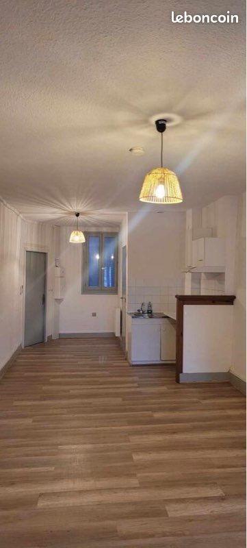Appartement à louer, 31m², Feurs