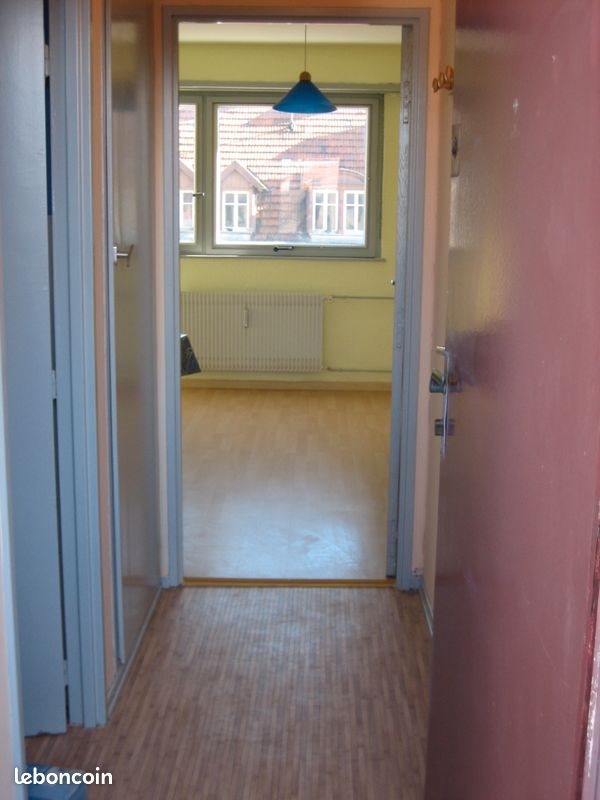 Appartement à vendre, 26m², Strasbourg